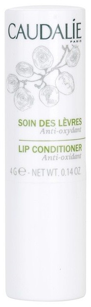 Caudalie Moisturizers ajakbalzsam  4 g