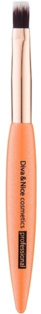 Diva & Nice Cosmetics Professional rúzsecset MAX 530/11