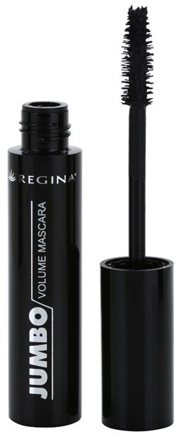 Regina Colors dúsító szempillaspirál árnyalat Black 12 ml