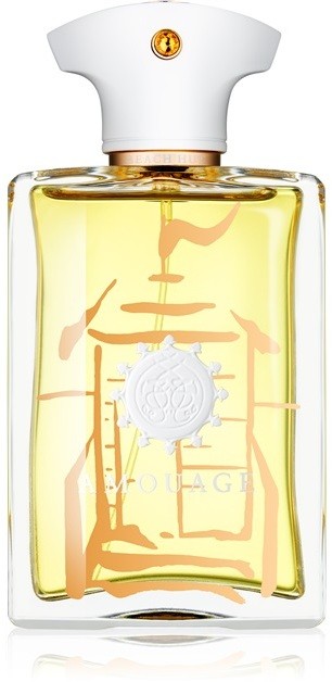 Amouage Beach Hut eau de parfum férfiaknak 100 ml