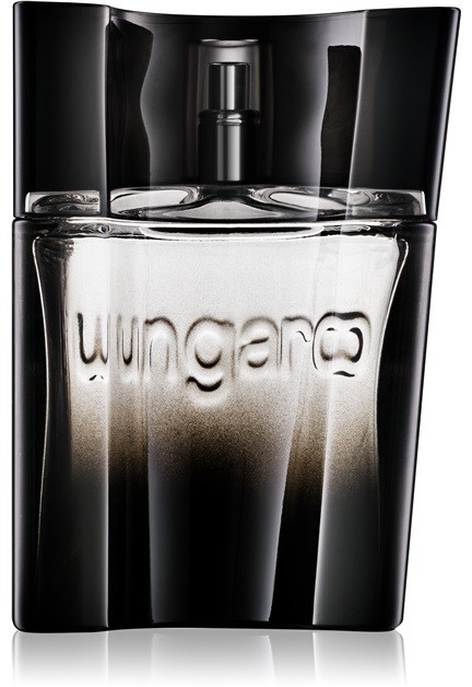 Emanuel Ungaro Ungaro Masculin eau de toilette férfiaknak 50 ml