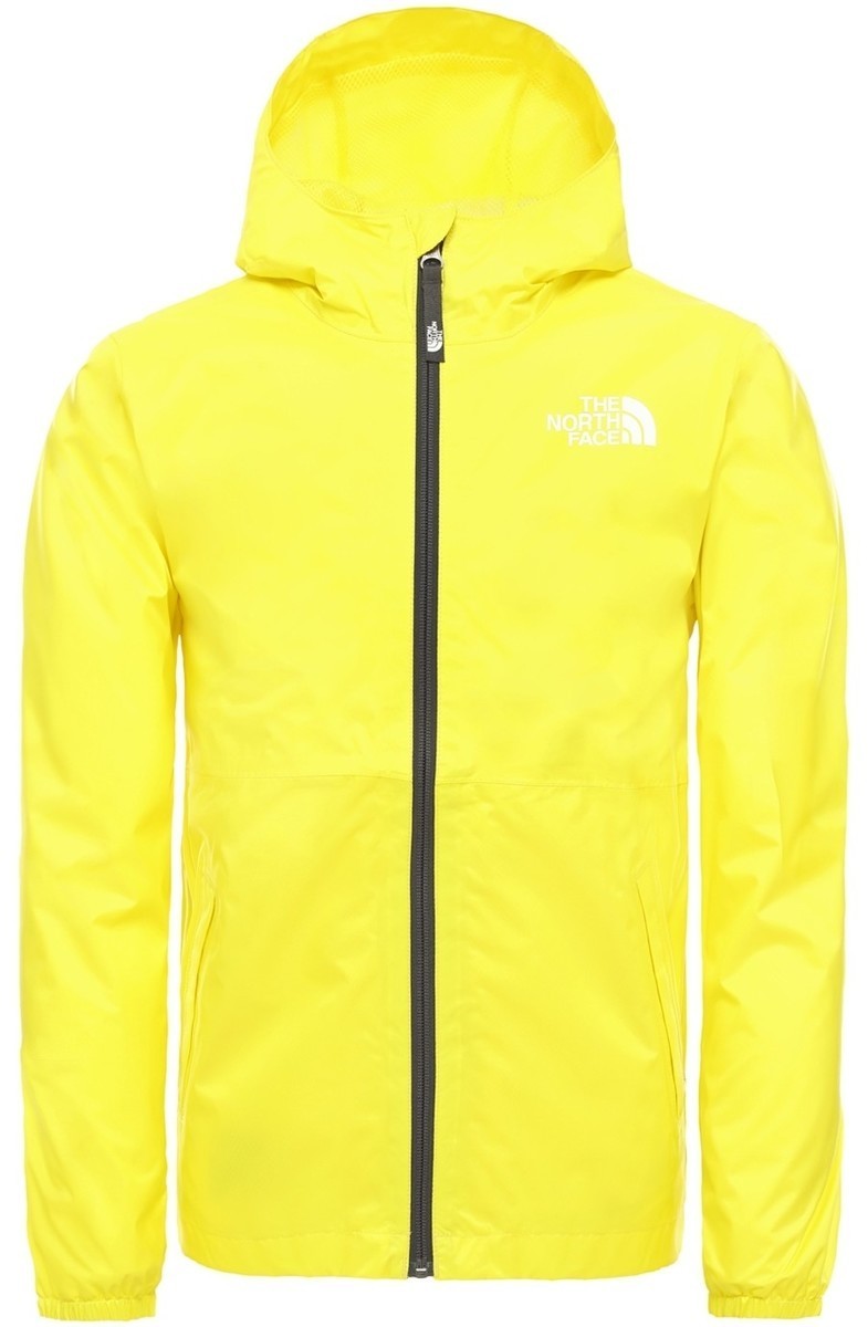 Dzsekik The North Face NF0A3YB2DW91