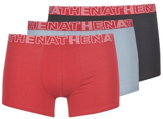 Boxerek Athena BASIC COLOR
