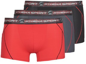 Boxerek Athena TRAINING