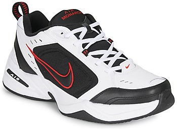 Multisport Nike AIR MONARCH IV