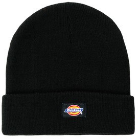 Sapkák Dickies GIBSLAND BEANIE