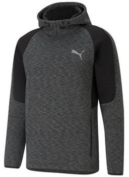 Pulóverek Puma Evostripe Hoodie