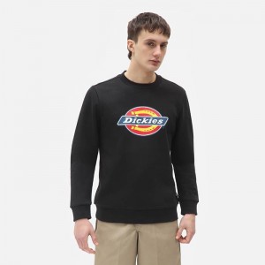 Dickies Logo Sweatshirt DK0A4XCIBLK galéria