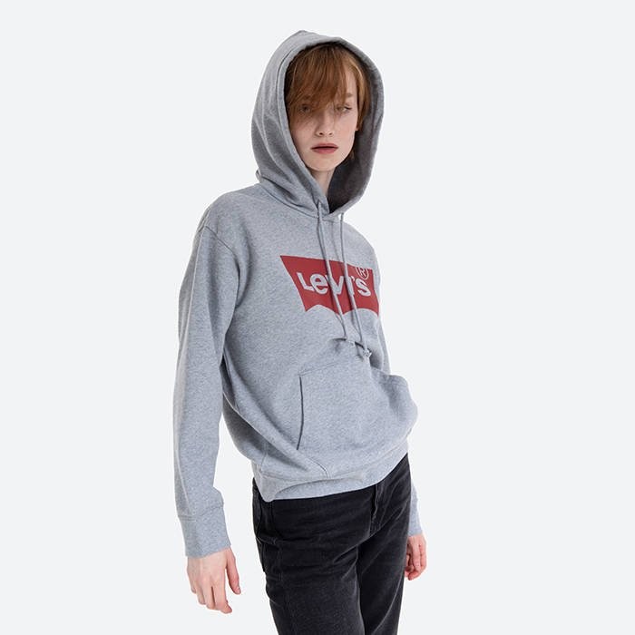 Levis Graphic Standard Hoodie 18487-0020