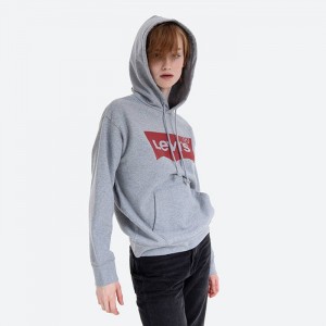 Levis Graphic Standard Hoodie 18487-0020 galéria