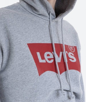 Levis Graphic Standard Hoodie 18487-0020 galéria
