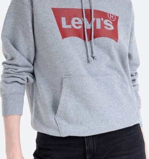 Levis Graphic Standard Hoodie 18487-0020 galéria