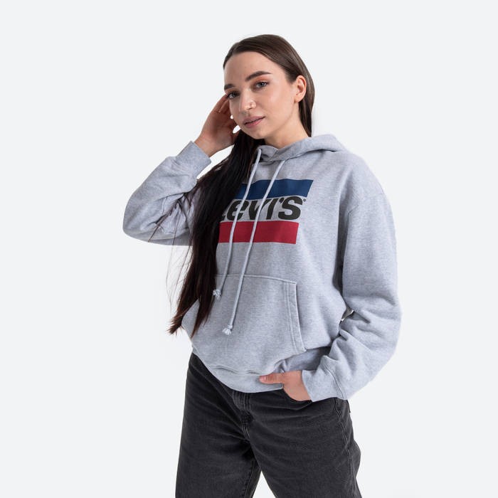 Levi's® Graphic Standard Hoodie 18487-0059