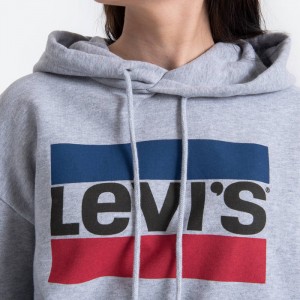 Levi's® Graphic Standard Hoodie 18487-0059 galéria