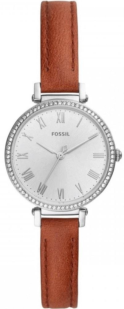 Fossil  Kinsey
