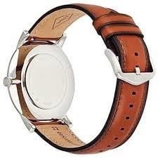 Fossil Minimalist galéria