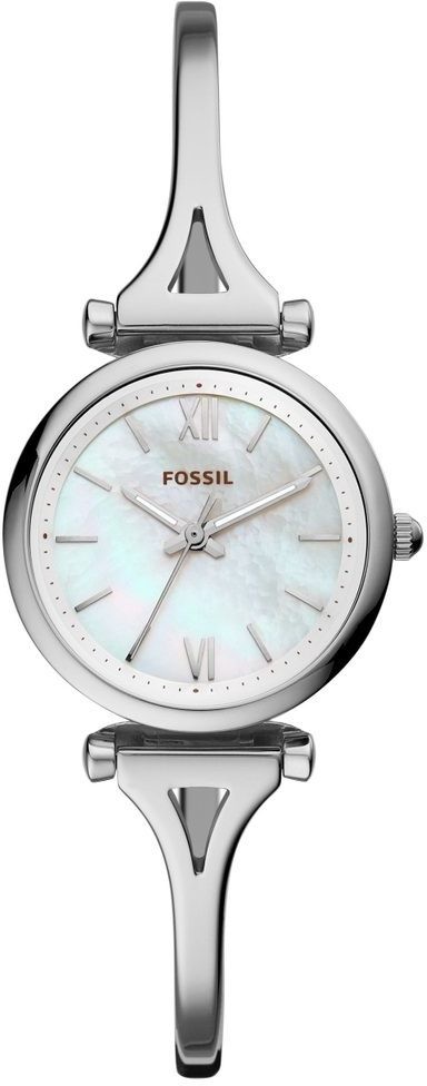 Fossil Carlie