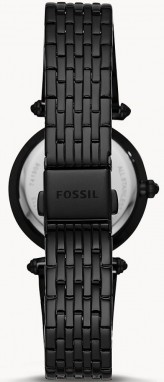 Fossil Lyric galéria