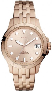Fossil FB-01  galéria