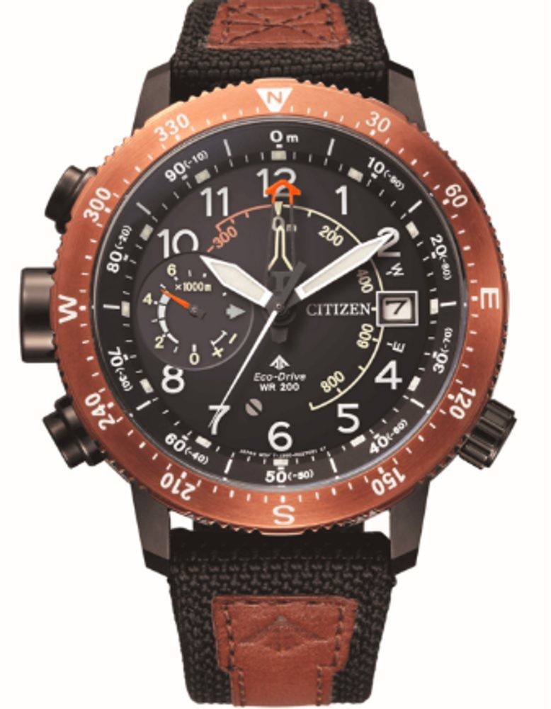 Citizen Promaster