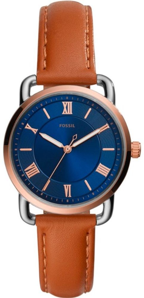 Fossil