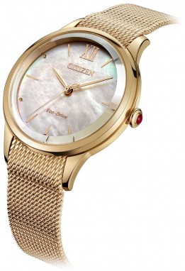 Citizen Elegant galéria