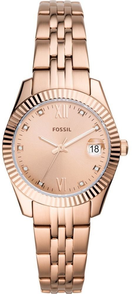 Fossil