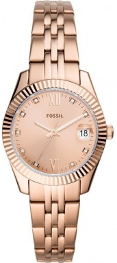 Fossil galéria