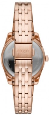Fossil galéria