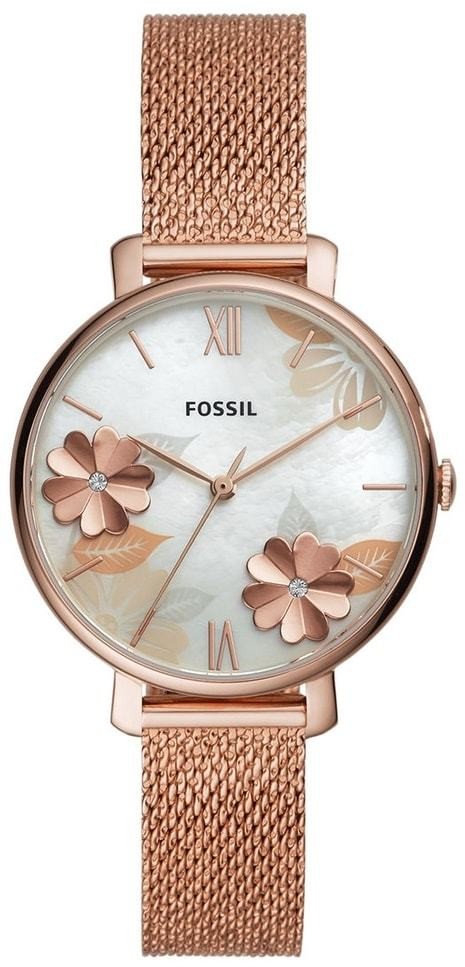 Fossil Jacqueline