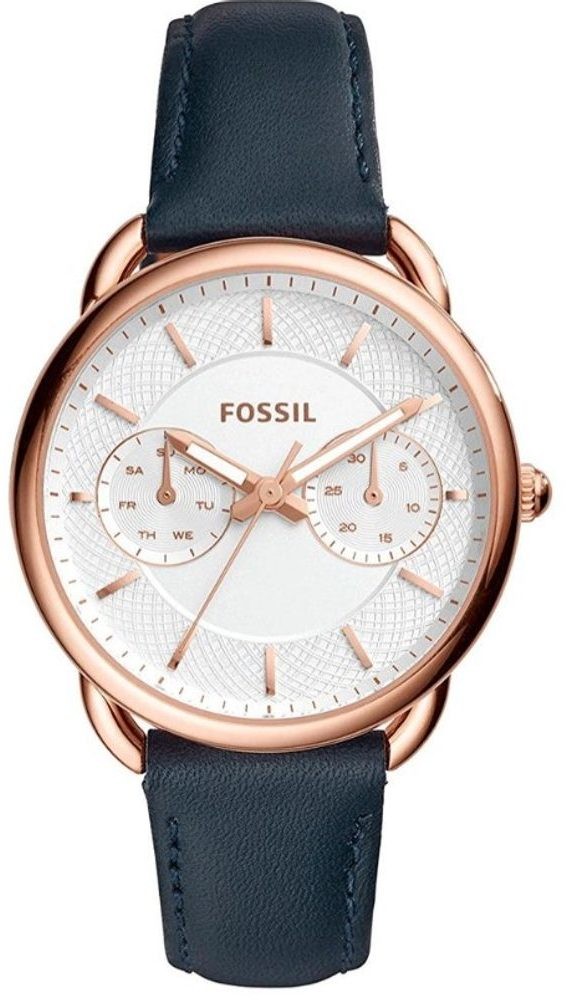 Fossil Tailor
