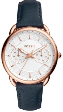 Fossil Tailor galéria