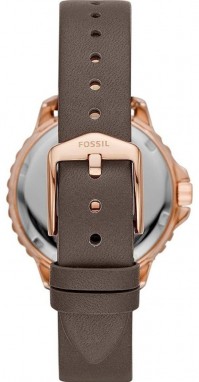 Fossil Izzy galéria