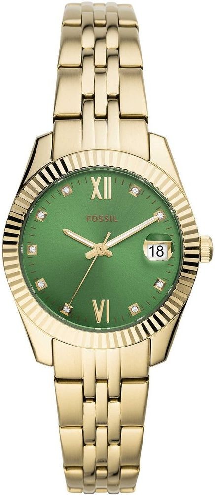 Fossil
