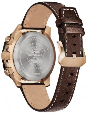 Citizen Promaster Skyhawk galéria