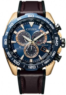 Citizen Promaster galéria