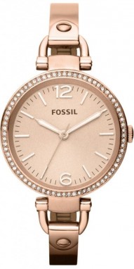 Fossil Georgia galéria