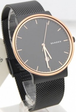 Skagen Ancher galéria