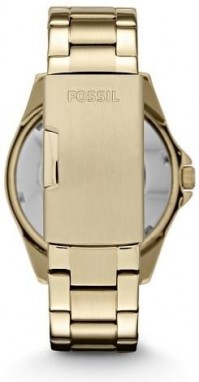 Fossil galéria
