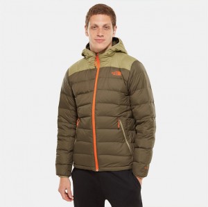 The North Face M La Paz Hooded Jacket Nwtpgn/Tmblwdgn galéria