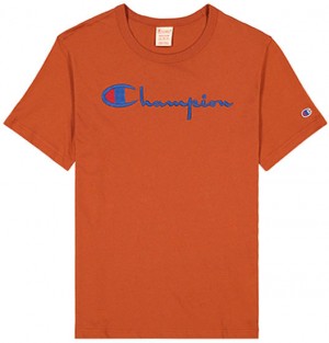 Champion Script Logo Crew Neck T-Shirt galéria