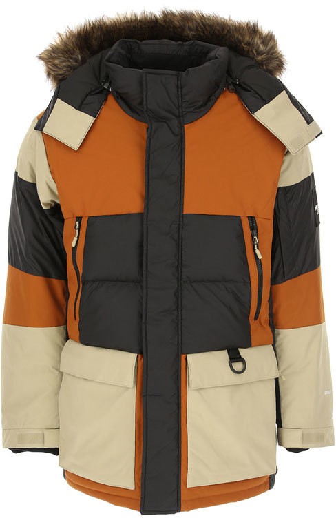 The North Face M Vostok Parka