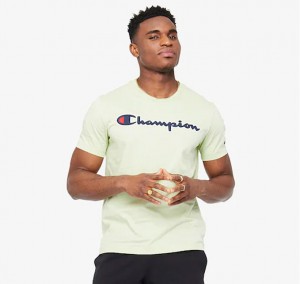 Champion Script Logo T-Shirt galéria