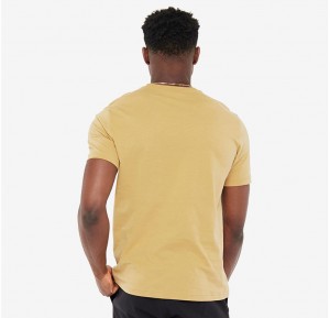 Champion Script Logo T-Shirt galéria