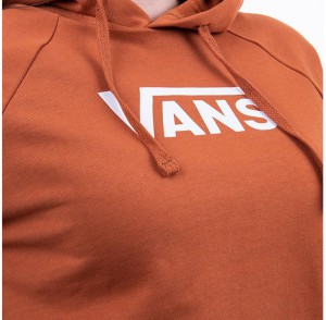 Vans WM Flying V Boxy Hoodie galéria