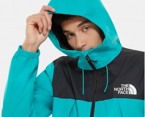 The North Face M 1990 Mountain Q Jacket - Eu Jaiden Green galéria