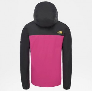 The North Face M Mountain Q Jacket - Eu Wild Aster Purple/Tnf Blk galéria