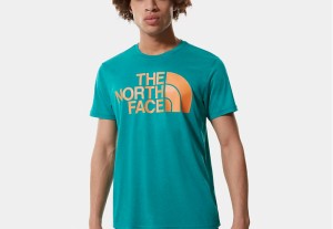 The North Face M Reaxion Easy Tee Fanfare Green Heather galéria