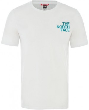 The North Face M Ss Graphic Flow 1 - Eu Tnfwht/Fanfrgrn/Fanfregrn galéria