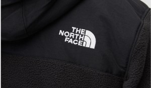 The North Face Denali Anorak 2 - Eu Tnf Black galéria